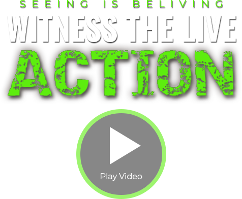 Witness The Live Action